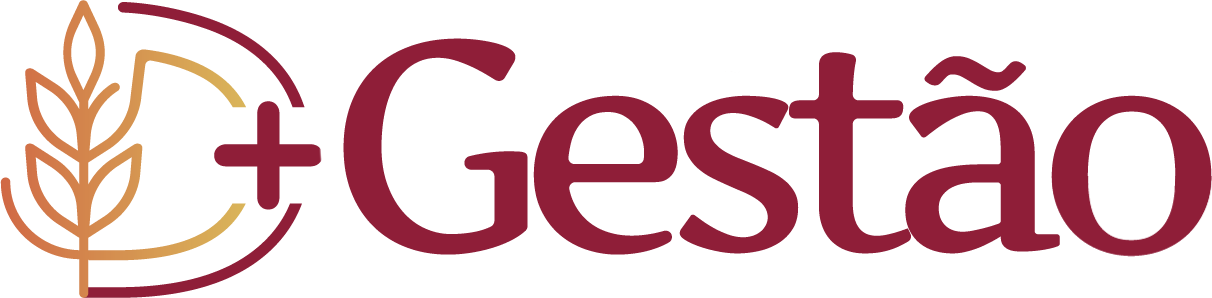 D+ Gestão